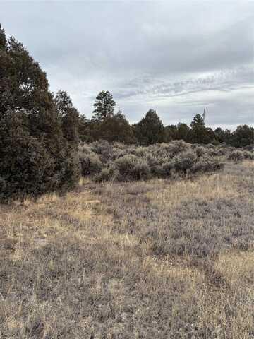 Lots 2 & 3 Parkview Hills, Los Ojos, NM 87551