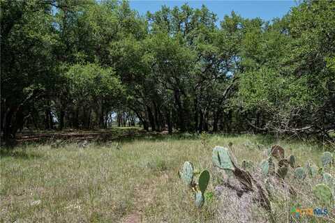 Tbd Lot 135 Shin Oak Drive, Lampasas, TX 76550