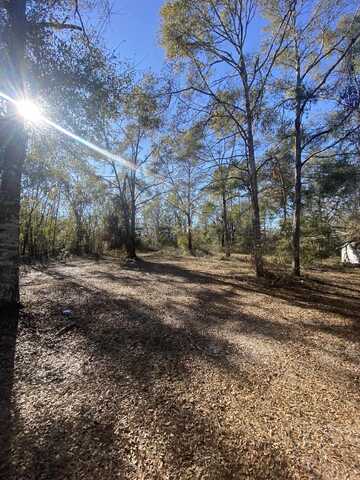 6380 Ira L. Smith Road, Greenville, FL 32331