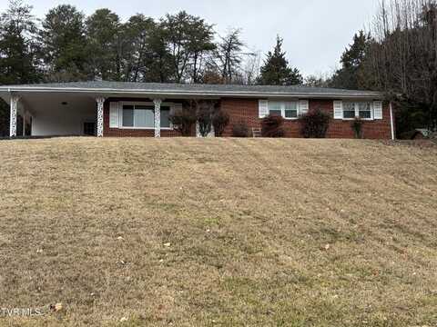 703 Pine Ridge Road, Johnson City, TN 37601