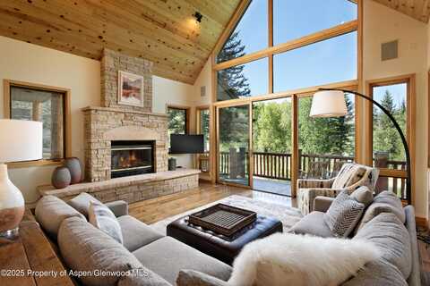 106 N Little Texas Lane, Woody Creek, CO 81656