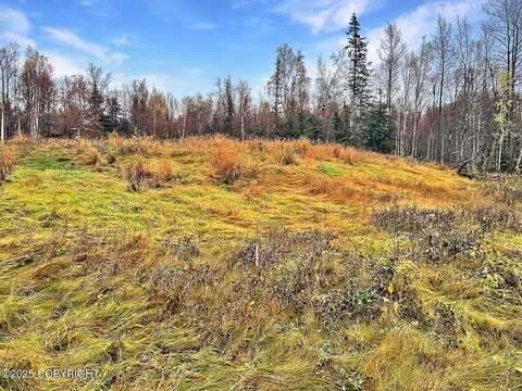 3205 N Mars Avenue, Palmer, AK 99645