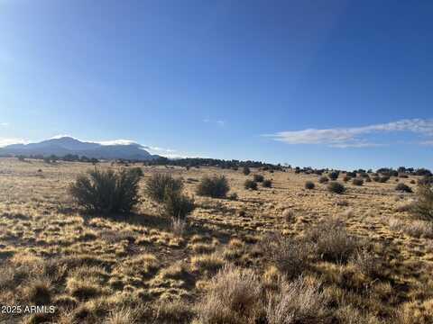 14500 N PUNTENNEY Road, Prescott, AZ 86305