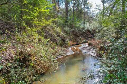 Tbd Hwy 36 Highway, Caldwell, TX 77838