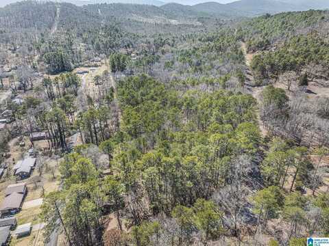 0 OAK RIDGE LANE, PIEDMONT, AL 36272