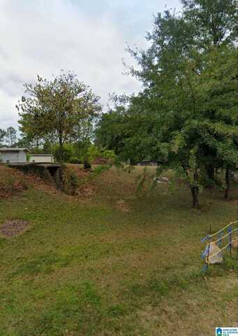 15380 COUNTY ROAD 51, JEMISON, AL 35085