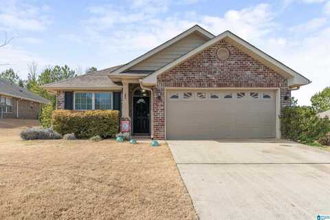 129 AVIATORS VIEW DRIVE, ALABASTER, AL 35007