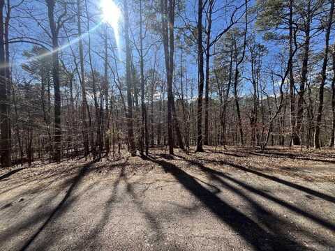 Lot 11 Block 1 Vestonero, Hot Springs Village, AR 71909