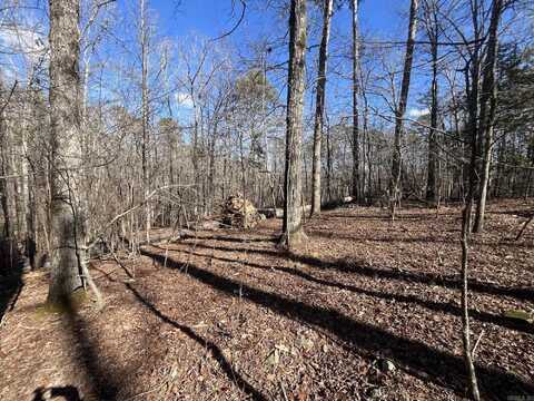 Lot 10 Block 1 Vestonero, Hot Springs Village, AR 71909