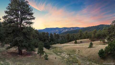 Lot 1 S Grapevine Road, Golden, CO 80401