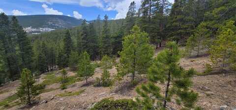 000 Hildred Claim, Idaho Springs, CO 80452