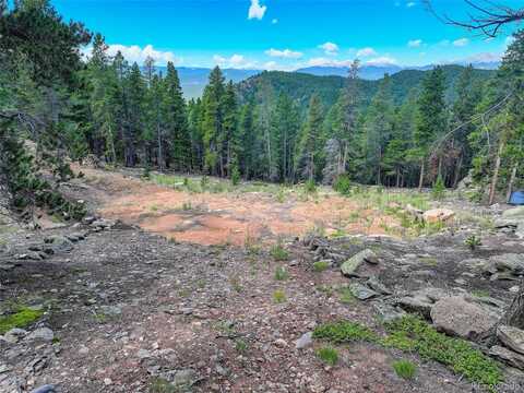 11275 Bear Run Trail, Conifer, CO 80433