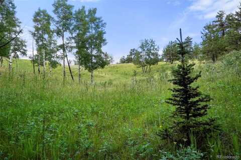0 Schubarth Trail, Woodland Park, CO 80863