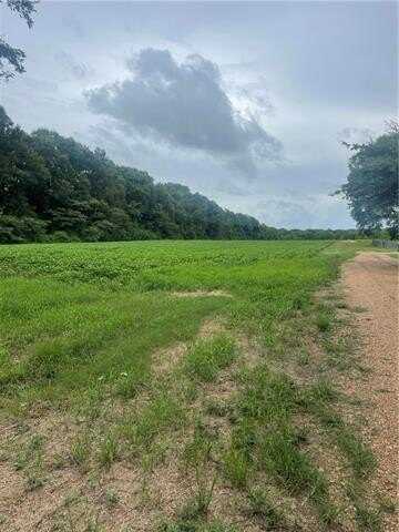 0 large rd N LARGE RD Road, Mansura, LA 71350