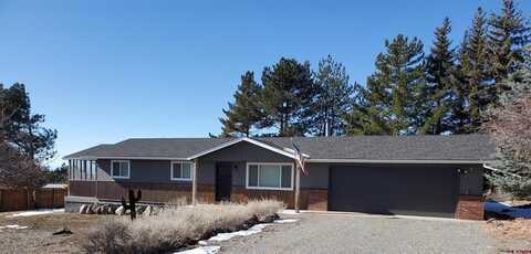 596 NE Ginters Grove Lane, Cedaredge, CO 81413