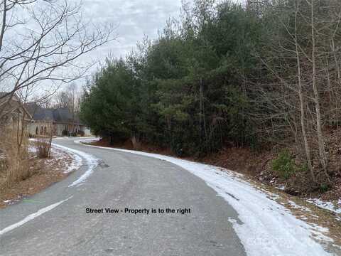Preserve Court lot: 1906, Hendersonville, NC 28791