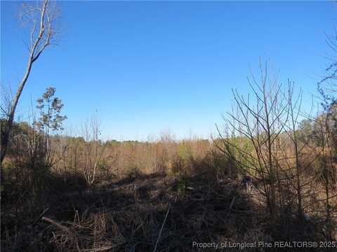 0 Melvin Lane, Sanford, NC 27330