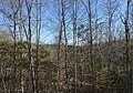 34 Log Splitters Pass, Dahlonega, GA 30533