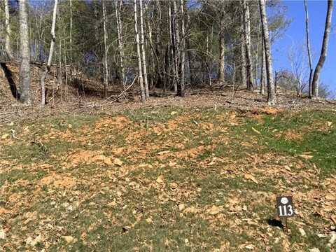 113 High River Crossing, Ellijay, GA 30540