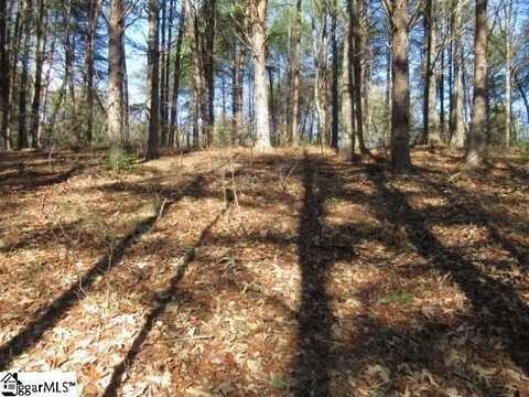 0 Sweet Shrub Court, Sunset, SC 29685