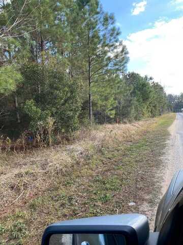 Parcel 2 Shannon Ln., Lucedale, MS 39452