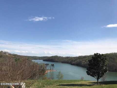 Pinnacle Lane, La Follette, TN 37766