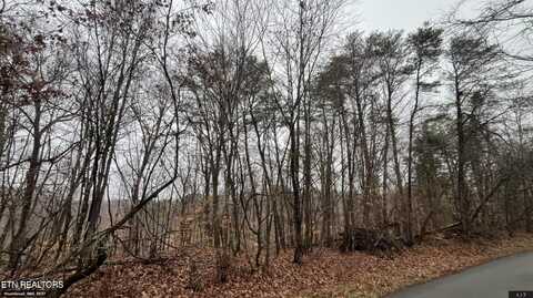 Mountain View Lane, Lot #1100, Baneberry, TN 37890