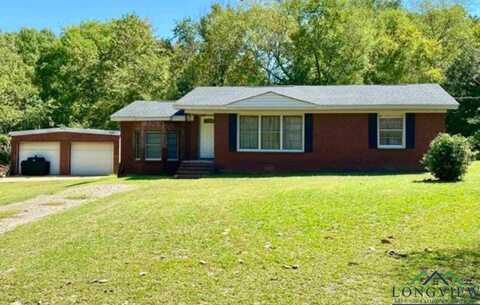 4615 S Sego Lily Rd., New Diana, TX 75640