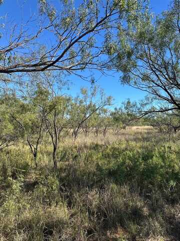 0 Fagan, Justiceburg, TX 79549