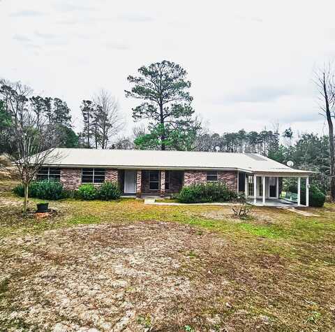 15074 Highway 87 N, Burkeville, TX 75932