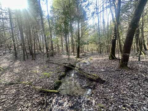 Tract # Moonbow Falls, Parkers Lake, KY 42634