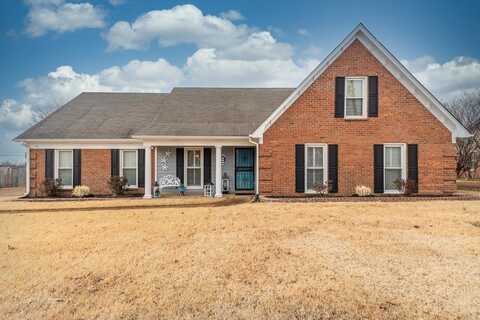 335 S SANGA, Cordova, TN 38018