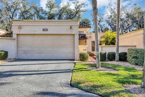 706 SANTA CRUZ LANE, HOWEY IN THE HILLS, FL 34737