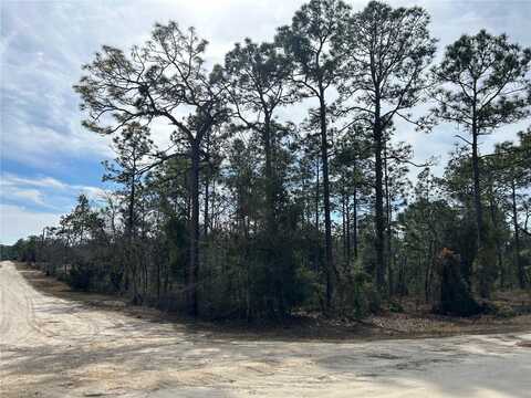 Tbd SE 23RD PLACE, MORRISTON, FL 32668