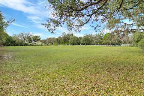 11735 KNIGHTS GRIFFIN ROAD, THONOTOSASSA, FL 33592