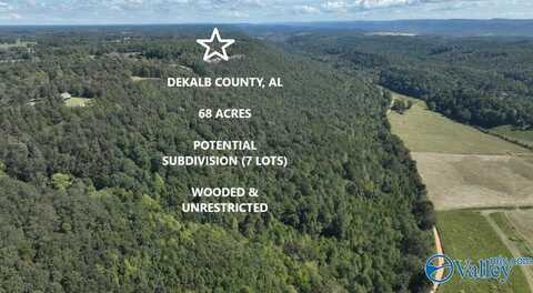 68 Acres County Road 223, Collinsville, AL 35961