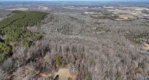 82 Acres County Road 81, Russellville, AL 35653