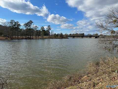 4.45 Acres Riddles Bend Road, Rainbow City, AL 35906