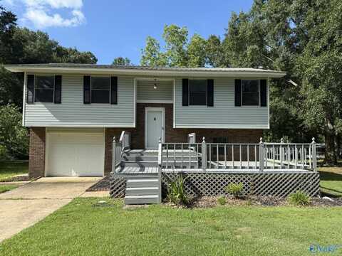 106 Lindsey Road, Horton, AL 35980