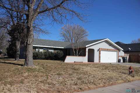 61 Bent Tree Road, Roswell, NM 88201