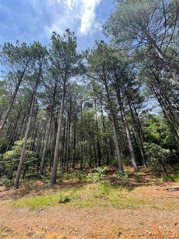 36 Pine Crest Court, Broken Bow, OK 74728