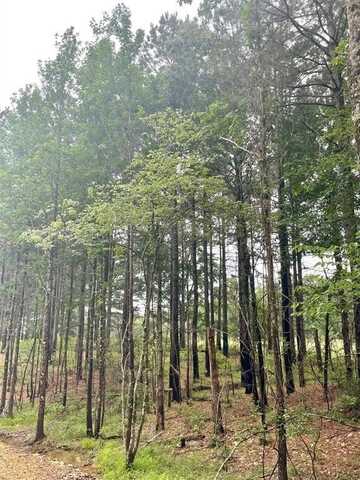 33 Upper Vista Ridge Trail, Broken Bow, OK 74728