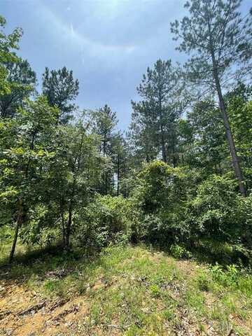 64 Cedar Hilltop Trail, Broken Bow, OK 74728