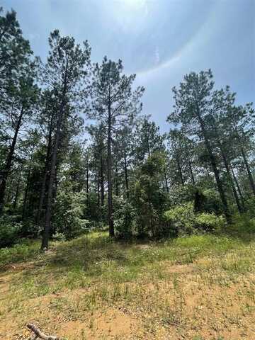 65 Cedar Hilltop Trail, Broken Bow, OK 74728