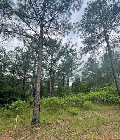 45 Lost Bullpine Lane, Broken Bow, OK 74728