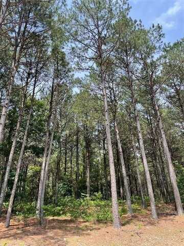 110 Timberland Gate, Broken Bow, OK 74728
