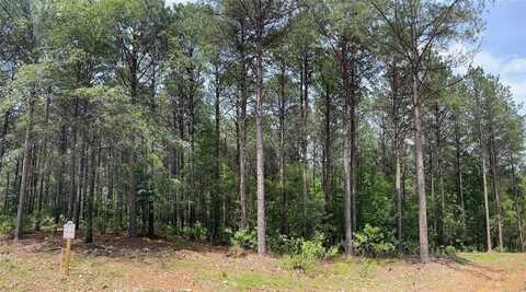 40 Pine Crest Court, Broken Bow, OK 74728