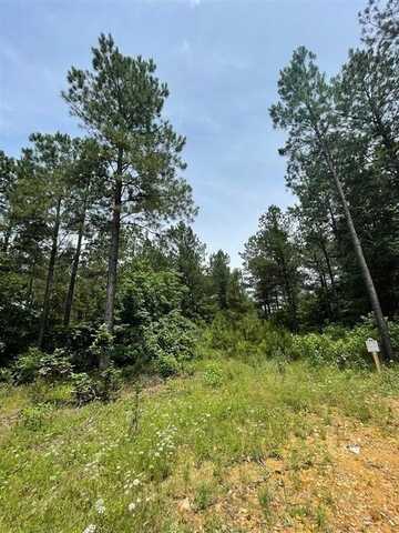 48 Cedar Hilltop Way, Broken Bow, OK 74728