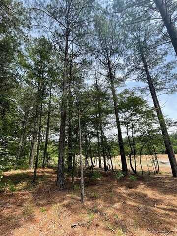 62 Pine Crest, Broken Bow, OK 74728
