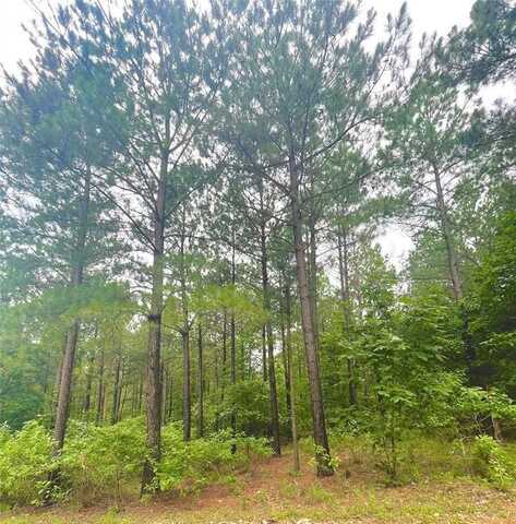 21 Lost Bullpine Lane, Broken Bow, OK 74728